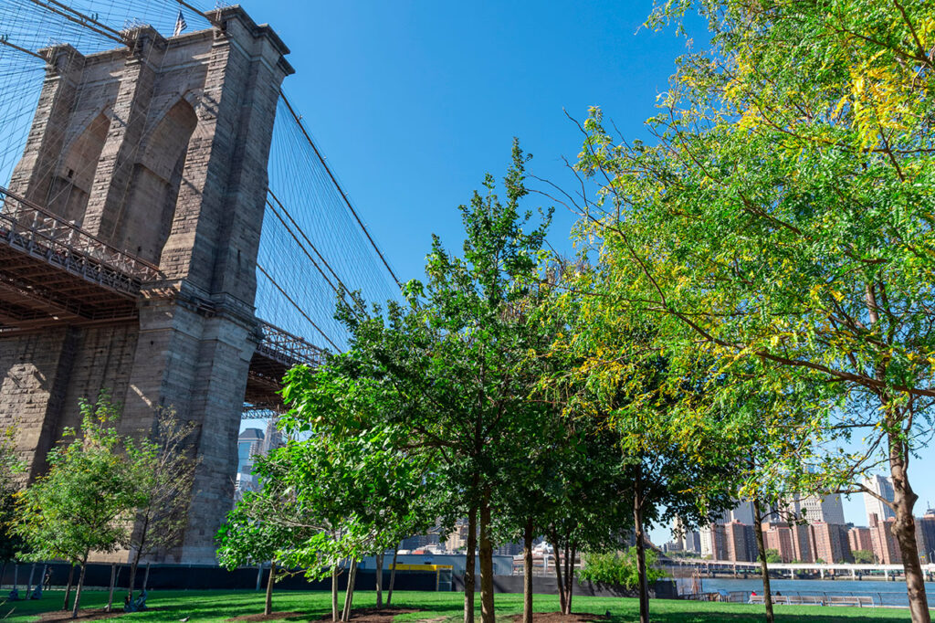 DUMBO Brooklyn Bridge New York