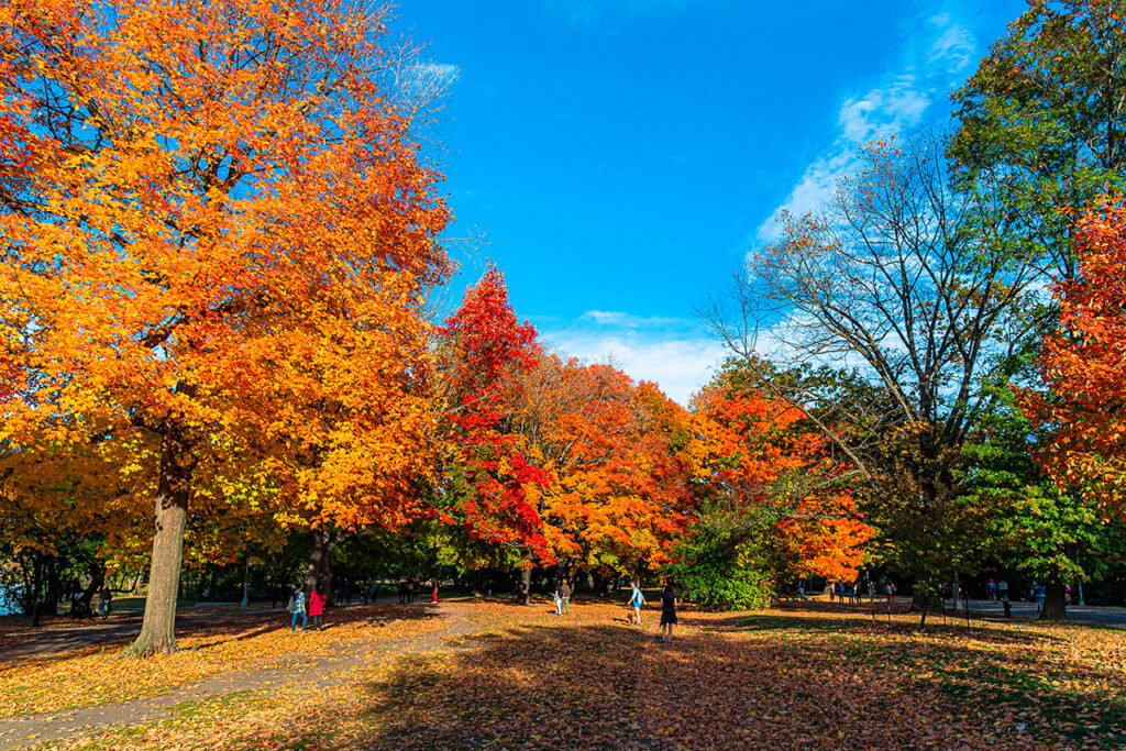 Brooklyn Prospect Park